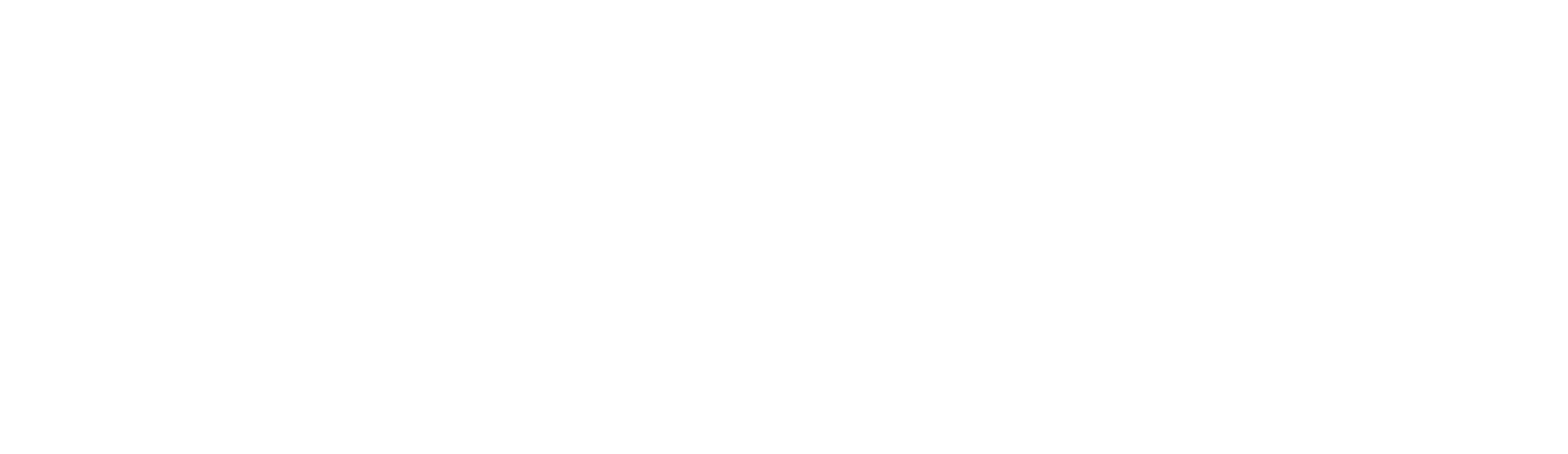 Emprise logo- white