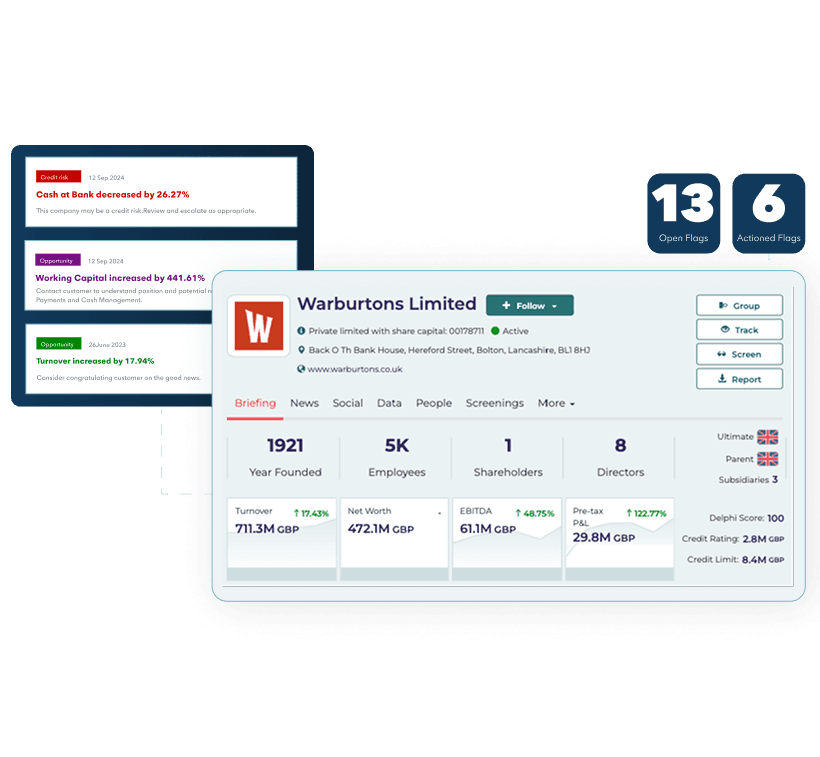 company profile with financial metrics and risk assessment dashboard