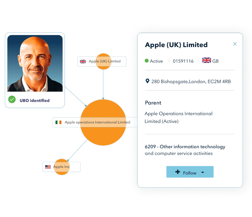 Business entity verification dashboard showing corporate structure
