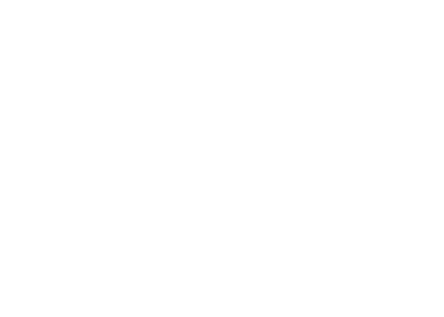 RDC.AI Logo